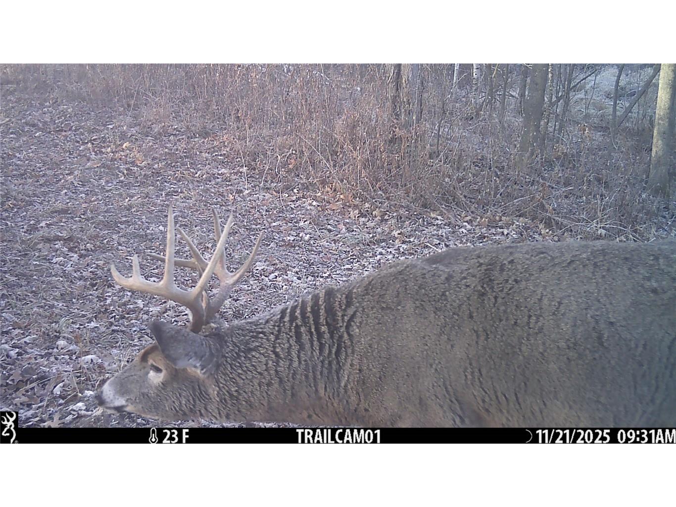 TBD 10 Acres Antler Lake Drive Milltown WI 54858 - No name 1599217 image29