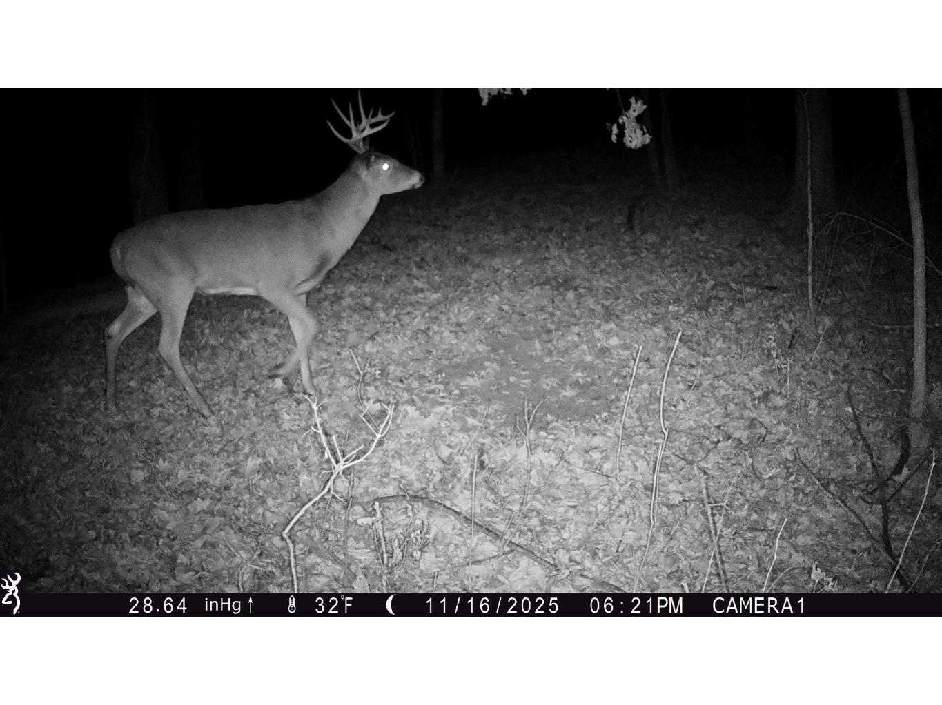 TBD 10 Acres Antler Lake Drive Milltown WI 54858 - No name 1599217 image31