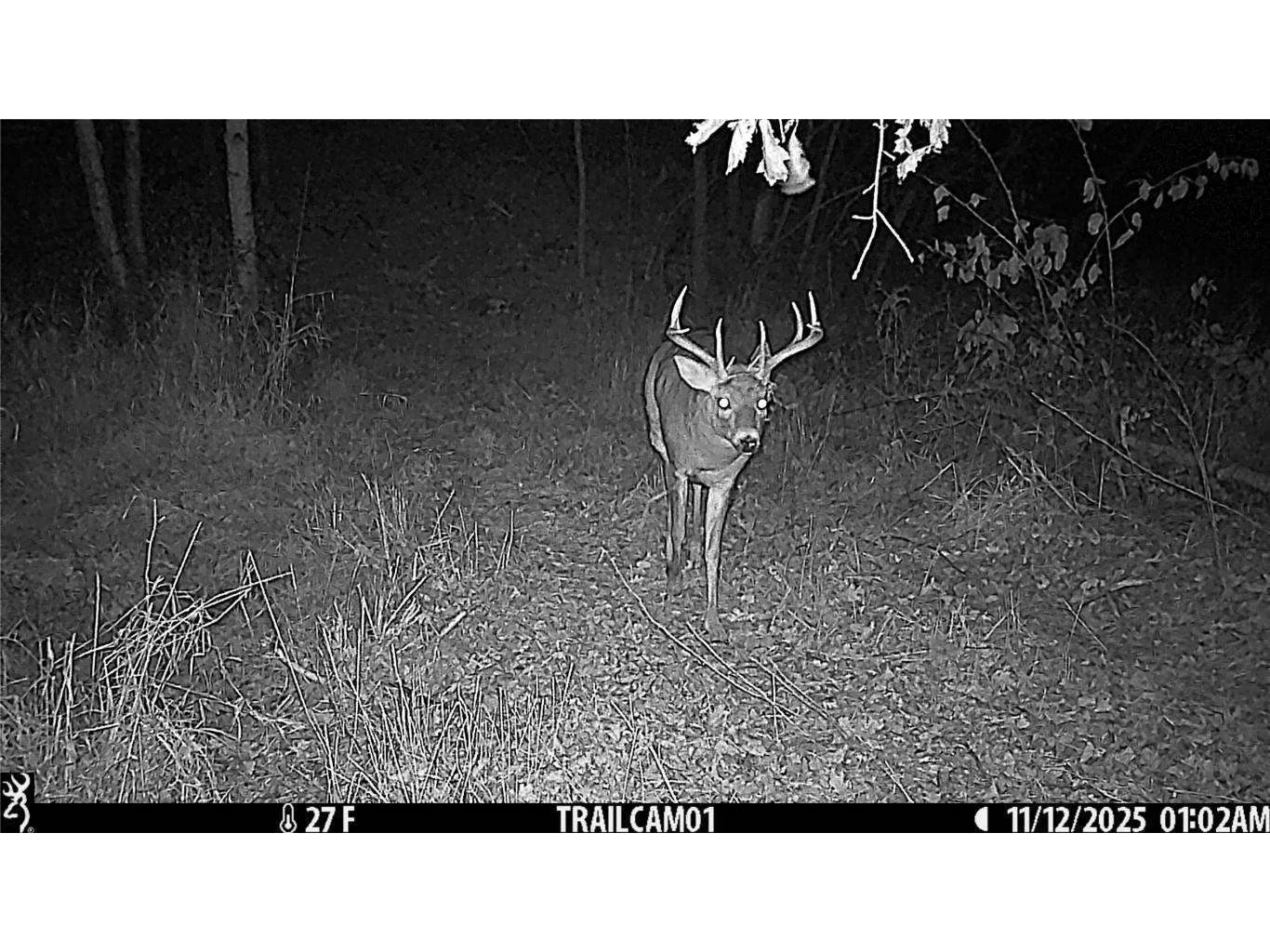 TBD 10 Acres Antler Lake Drive Milltown WI 54858 - No name 1599217 image32