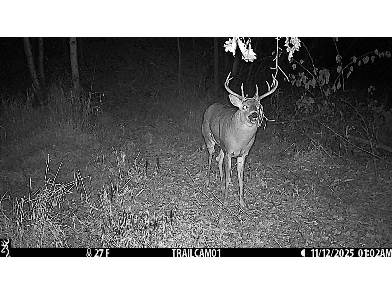 TBD 10 Acres Antler Lake Drive Milltown WI 54858 - No name 1599217 image33