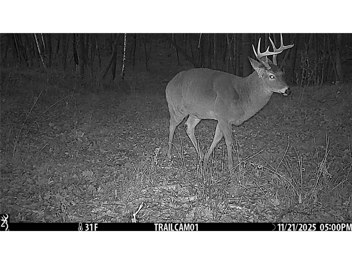 TBD 10 Acres Antler Lake Drive Milltown WI 54858 - No name 1599217 image34