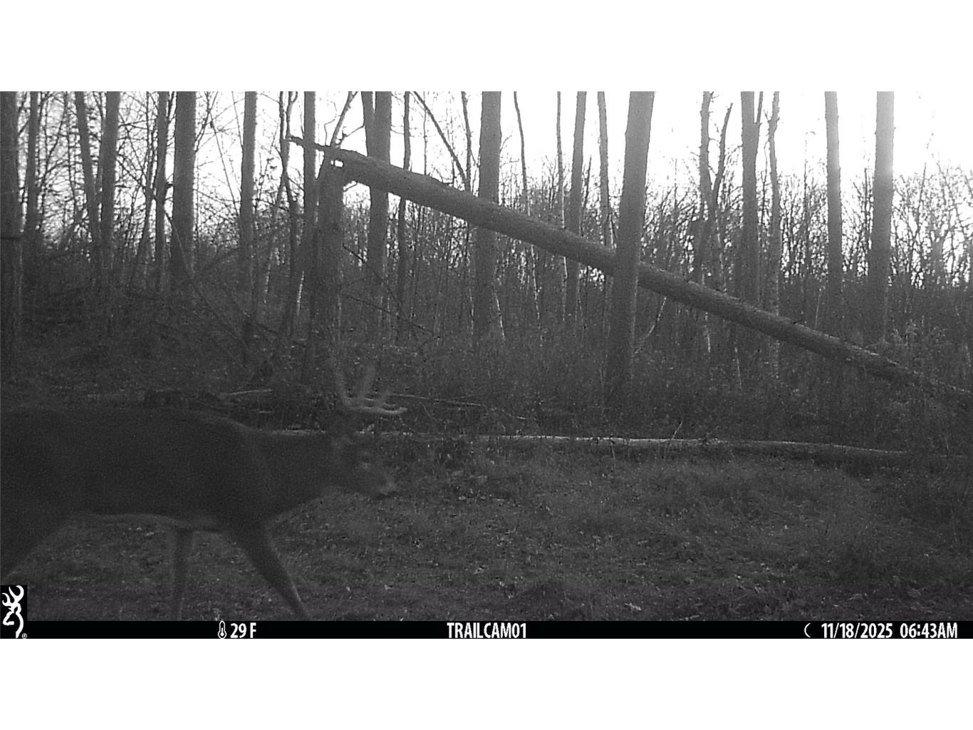 TBD 10 Acres Antler Lake Drive Milltown WI 54858 - No name 1599217 image36