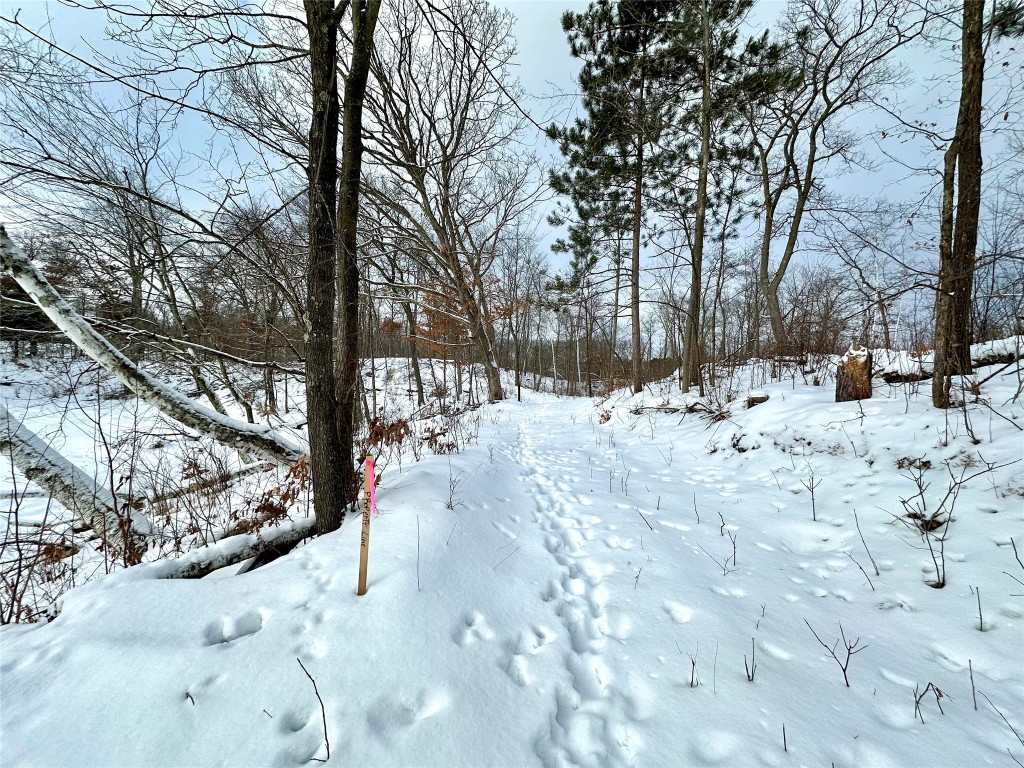 TBD 10 Acres Antler Lake Drive Milltown WI 54858 - No name 1599217 image7