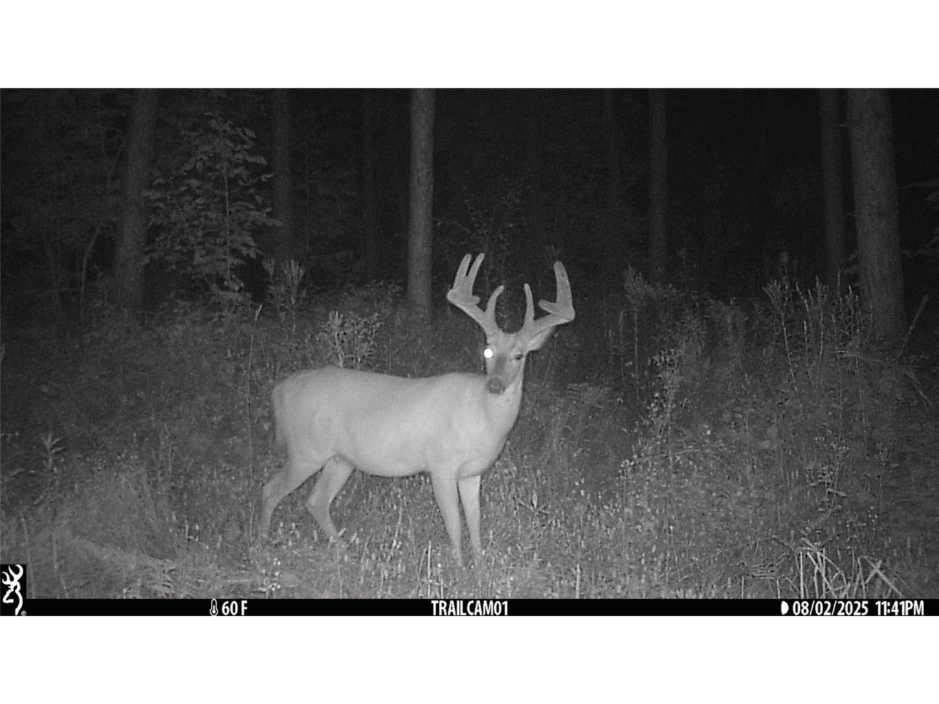 TBD 10 Acres Antler Lake Drive Milltown WI 54858 - No name 1599217 image8