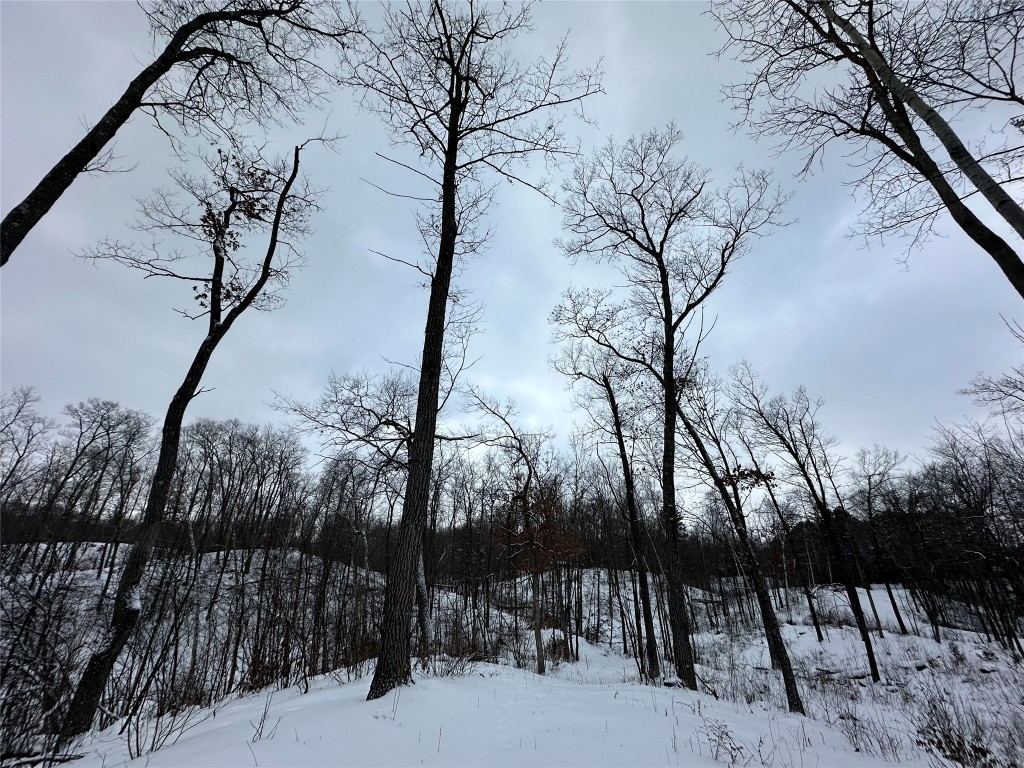 TBD 10 Acres Antler Lake Drive Milltown WI 54858 - No name 1599217 image9