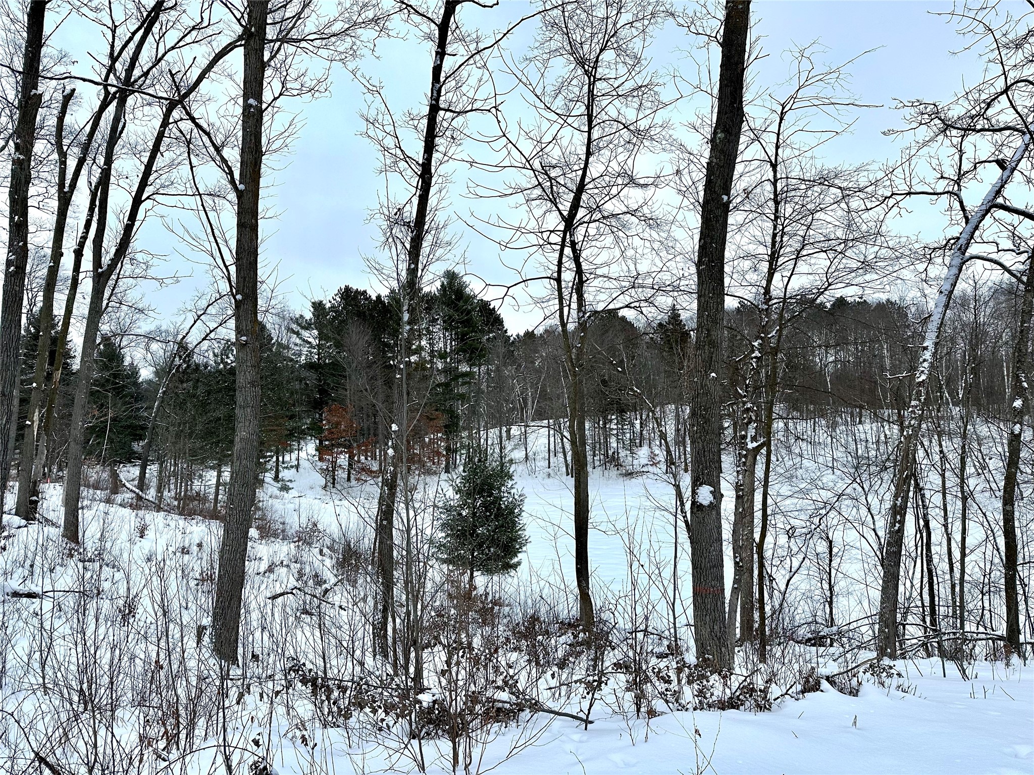TBD 13.88 Acres Antler Lake Drive Milltown WI 54858 1599154 image1