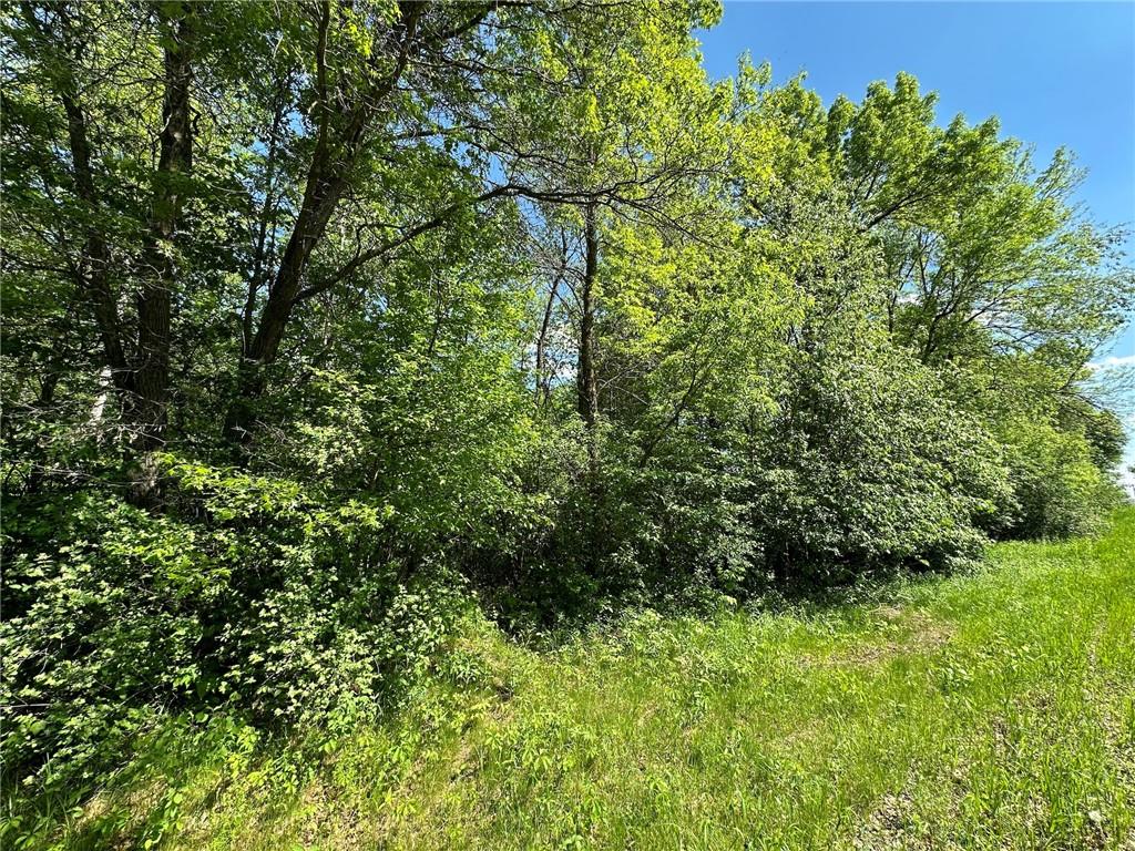 TBD 140th Street Amery WI 54001 1582374 image1