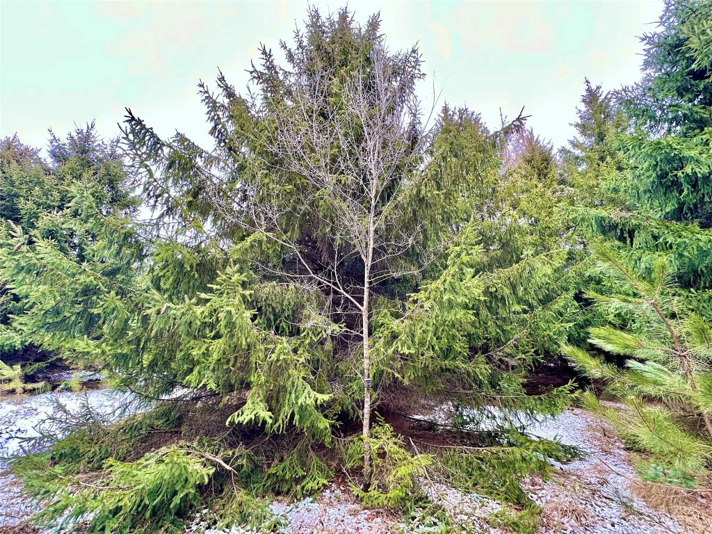 TBD 20 Acres 630th Street Colfax WI 54730 1599219 image11