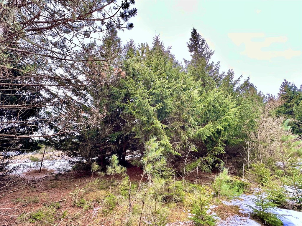 TBD 20 Acres 630th Street Colfax WI 54730 1599219 image20