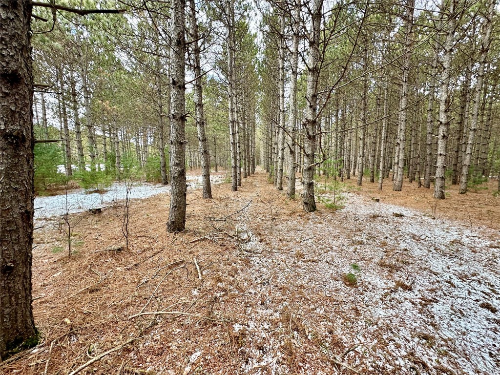 TBD 20 Acres 630th Street Colfax WI 54730 1599219 image23