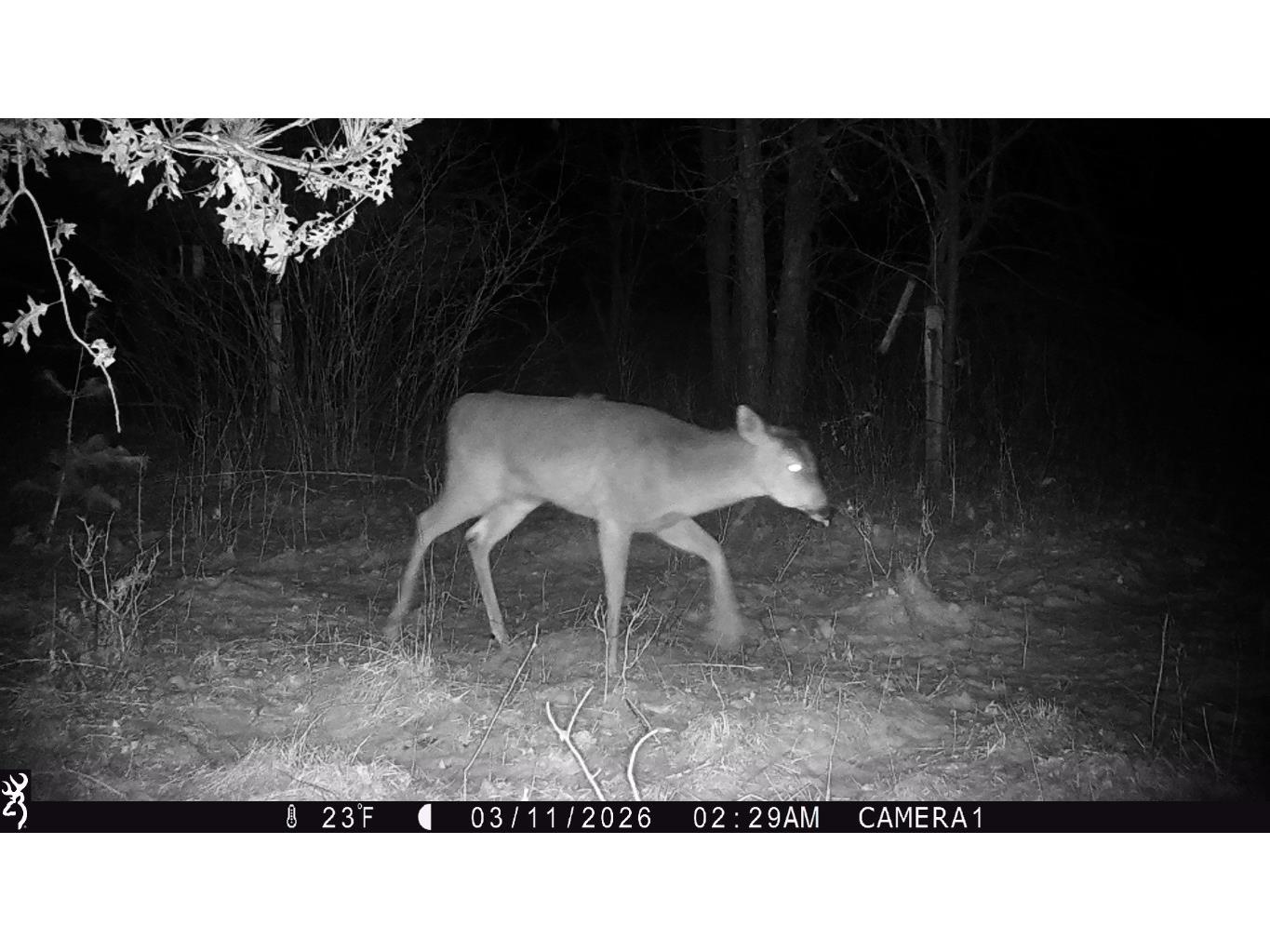 TBD 20 Acres 630th Street Colfax WI 54730 1599219 image26