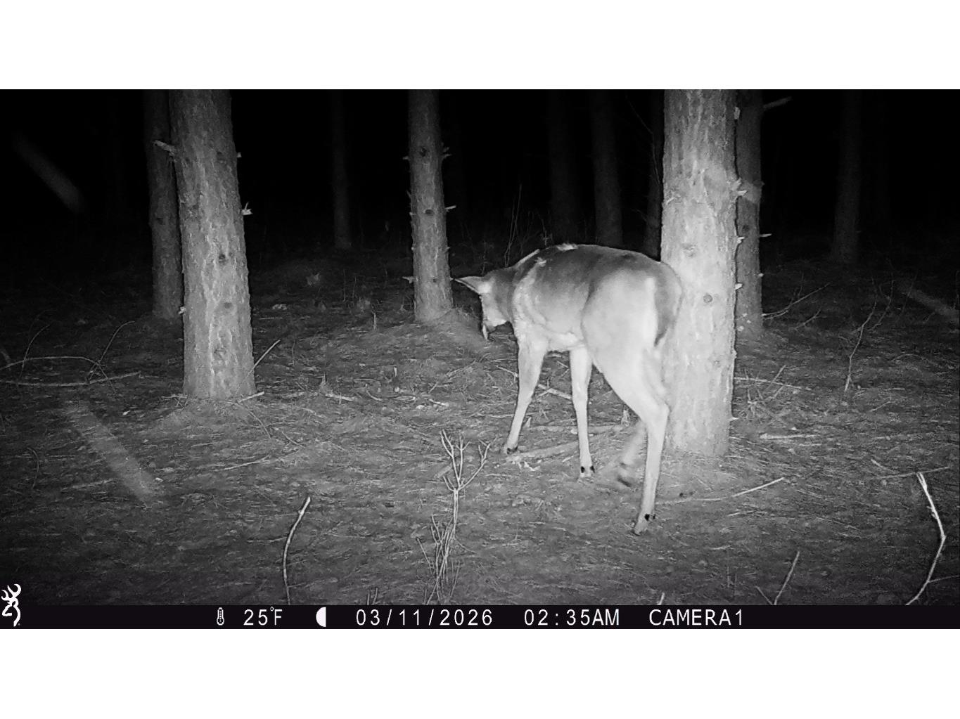 TBD 20 Acres 630th Street Colfax WI 54730 1599219 image27