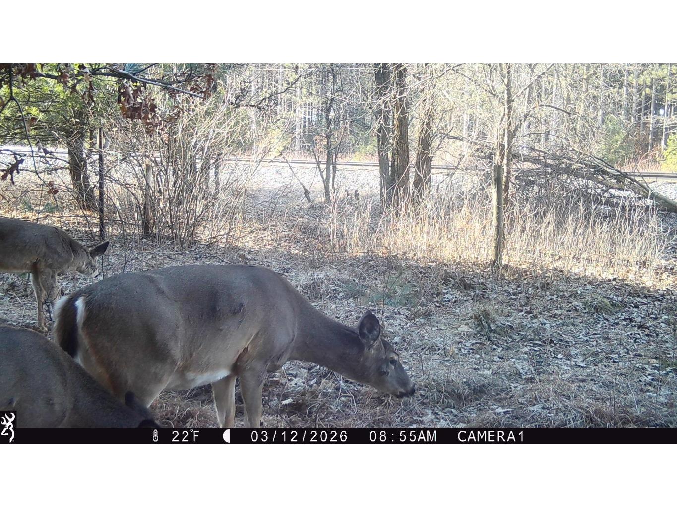 TBD 20 Acres 630th Street Colfax WI 54730 1599219 image28