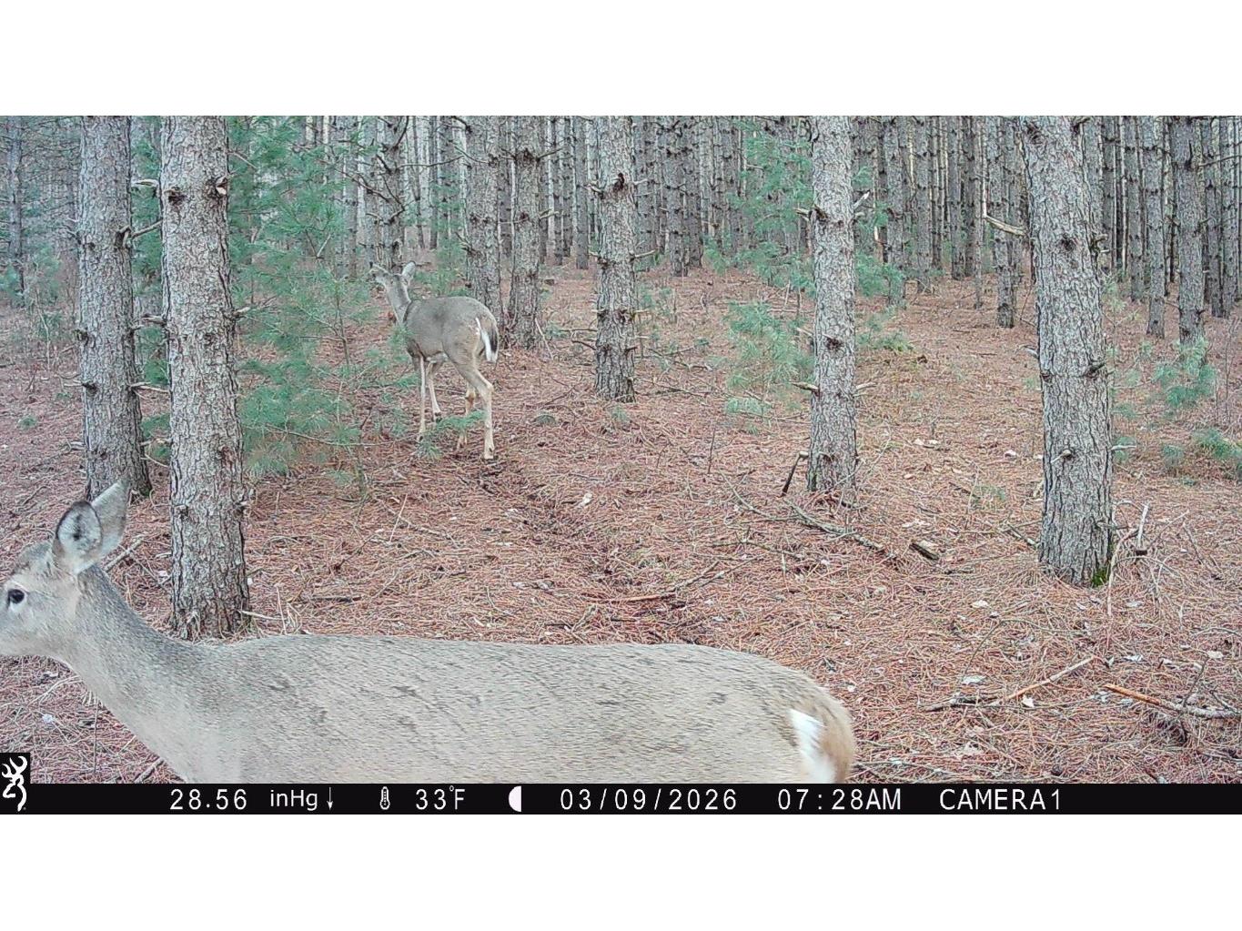 TBD 20 Acres 630th Street Colfax WI 54730 1599219 image31