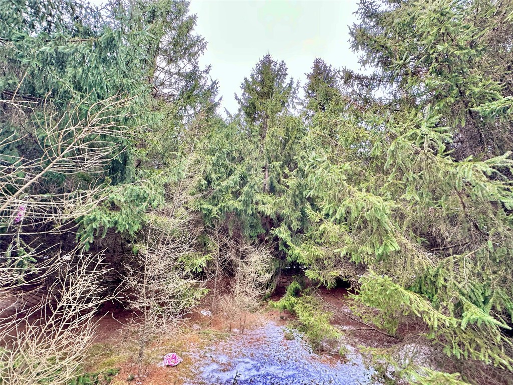 TBD 20 Acres 630th Street Colfax WI 54730 1599219 image32