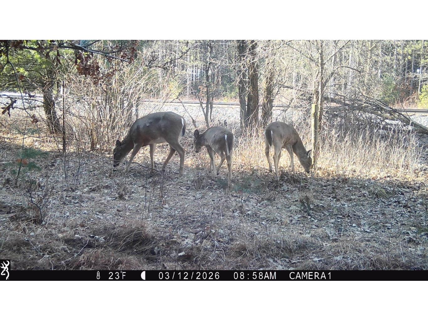 TBD 20 Acres 630th Street Colfax WI 54730 1599219 image40