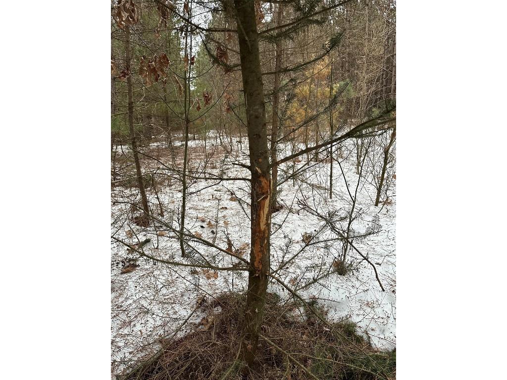 TBD 20 Acres 630th Street Colfax WI 54730 1599219 image41