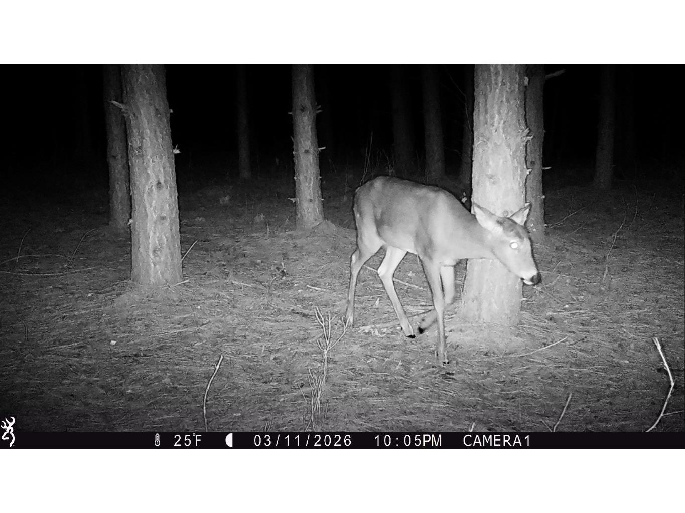 TBD 20 Acres 630th Street Colfax WI 54730 1599219 image42