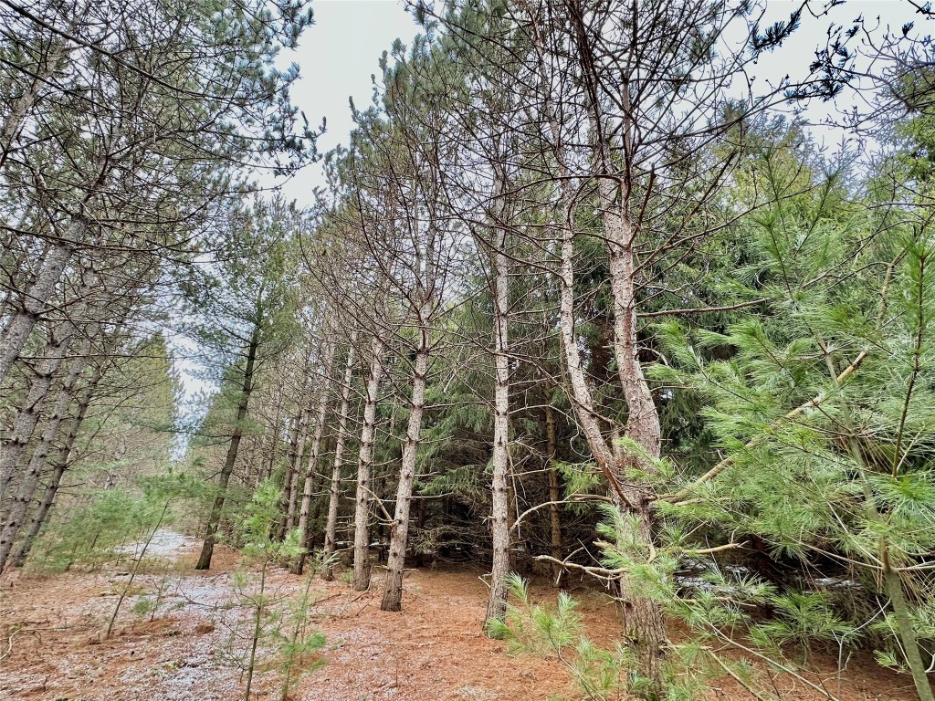 TBD 20 Acres 630th Street Colfax WI 54730 1599219 image43