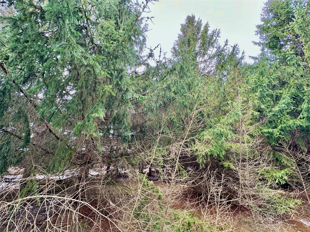 TBD 20 Acres 630th Street Colfax WI 54730 1599219 image47
