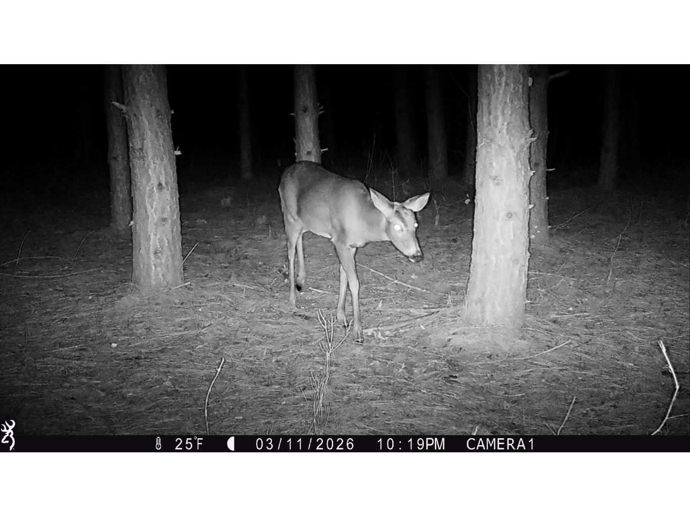 TBD 20 Acres 630th Street Colfax WI 54730 1599219 image48