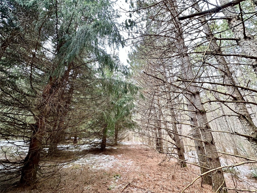 TBD 20 Acres 630th Street Colfax WI 54730 1599219 image49