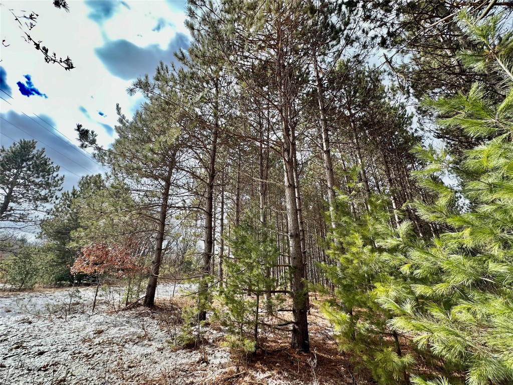 TBD 20 Acres 630th Street Colfax WI 54730 1599219 image52