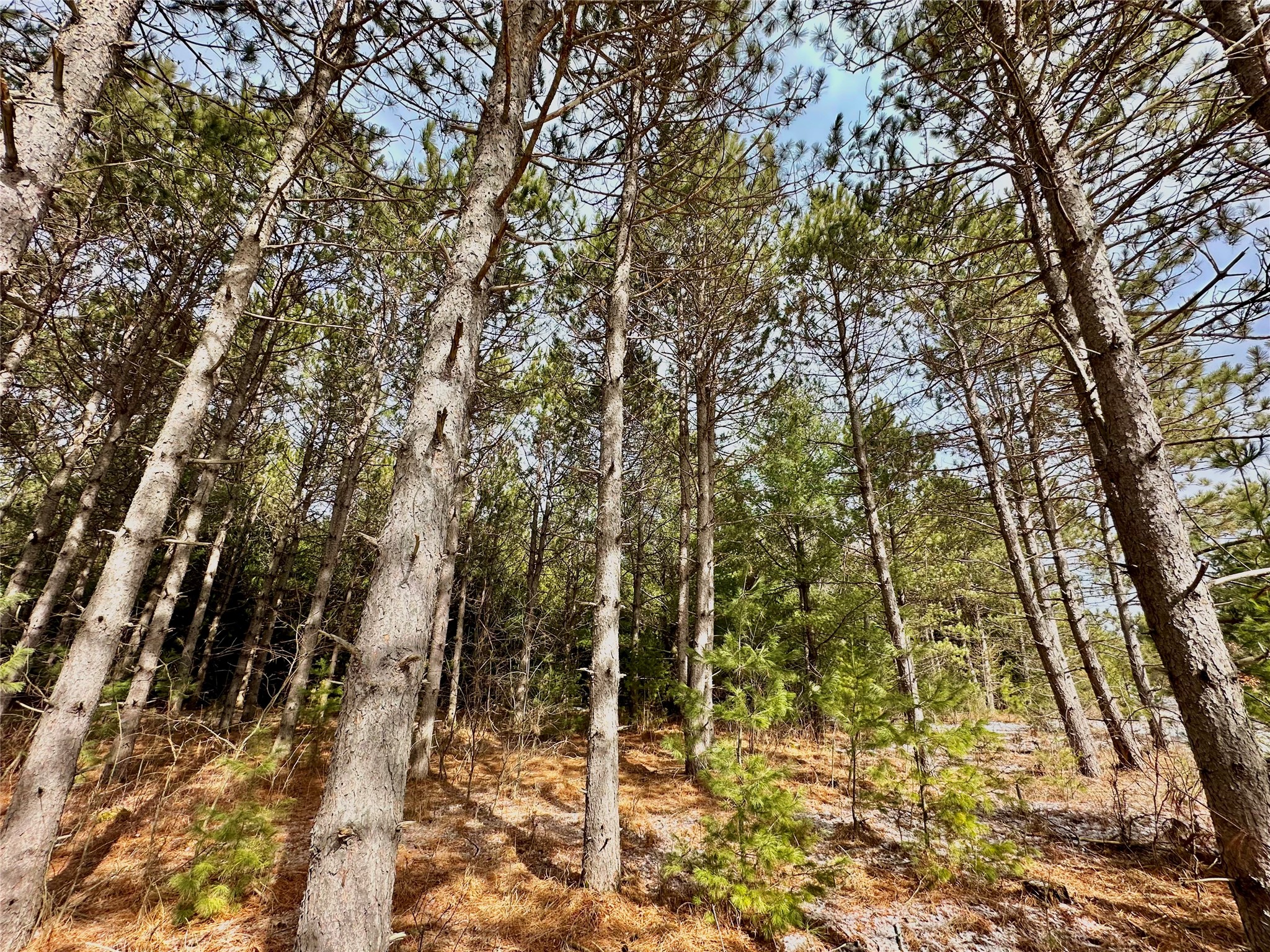 TBD 20 Acres 630th Street Colfax WI 54730 1599219 image54