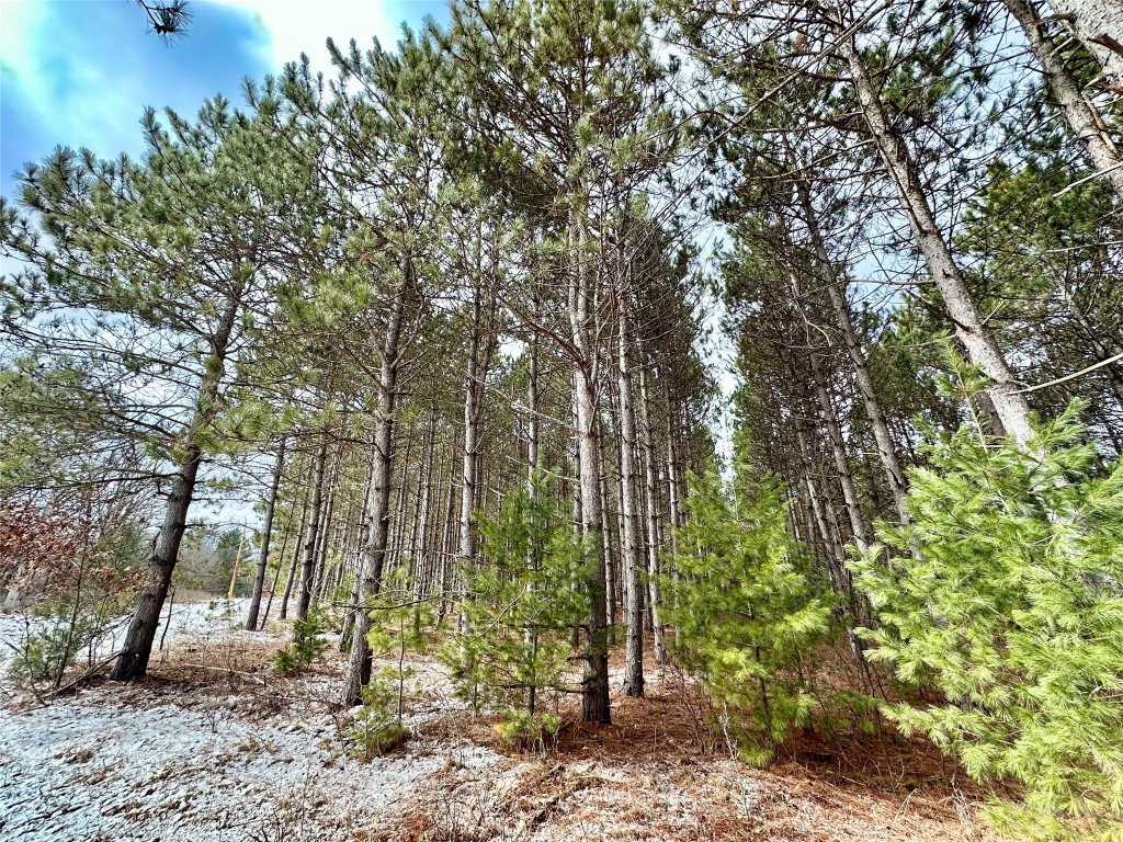 TBD 20 Acres 630th Street Colfax WI 54730 1599219 image55