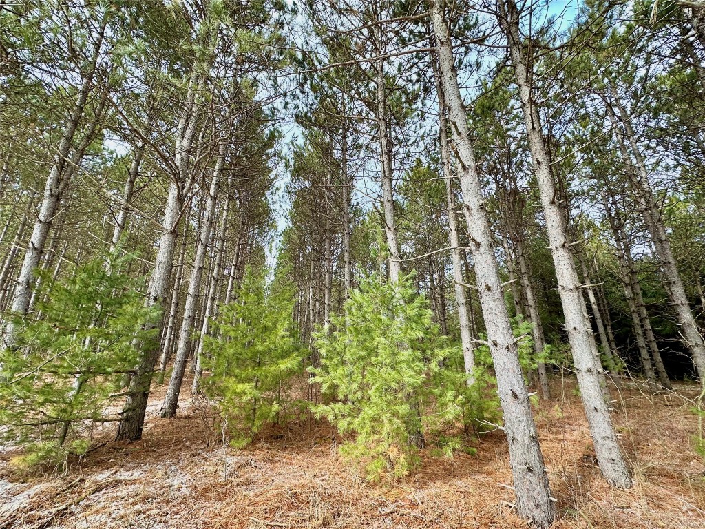 TBD 20 Acres 630th Street Colfax WI 54730 1599219 image56