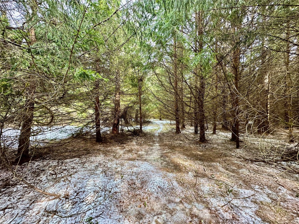 TBD 20 Acres 630th Street Colfax WI 54730 1599219 image59