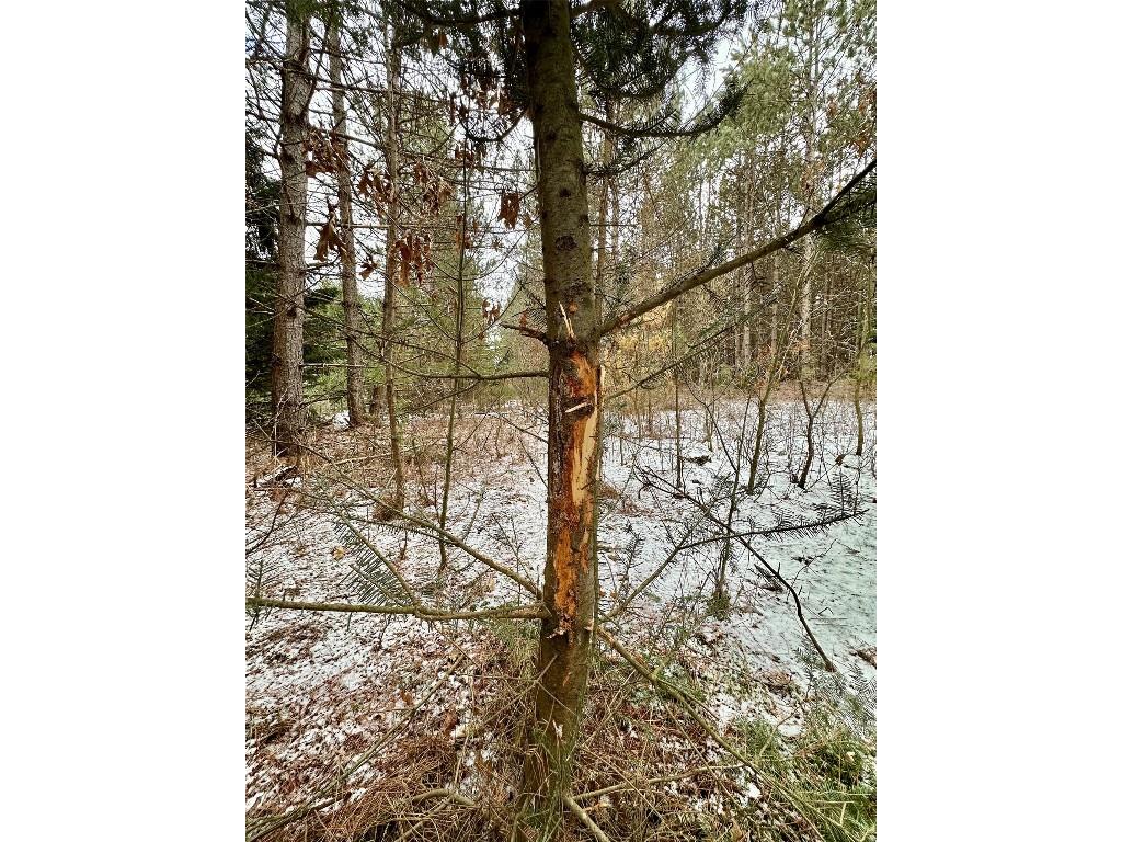 TBD 20 Acres 630th Street Colfax WI 54730 1599219 image7