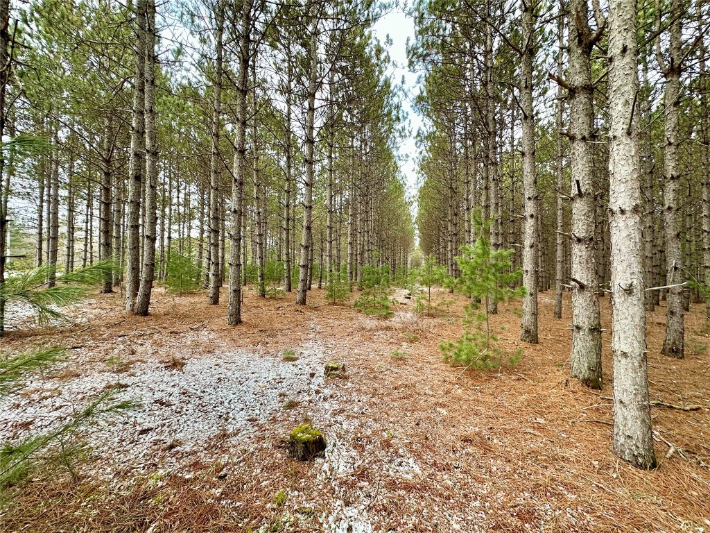 TBD 20 Acres 630th Street Colfax WI 54730 1599219 image9
