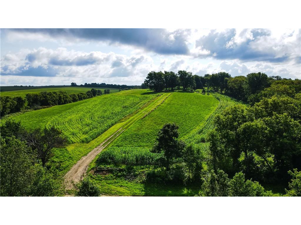 TBD 210th Street Maiden Rock WI 54750 1584810 image1