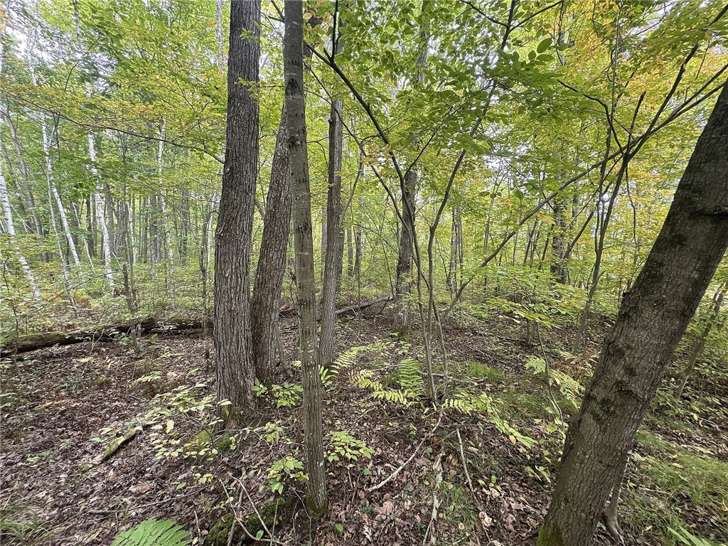 TBD 282nd Avenue Holcombe WI 54745 1595601 image1