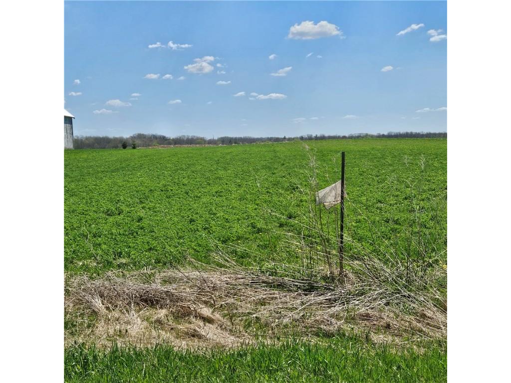 TBD 870th Avenue Spring Valley WI 54767 1592176 image1