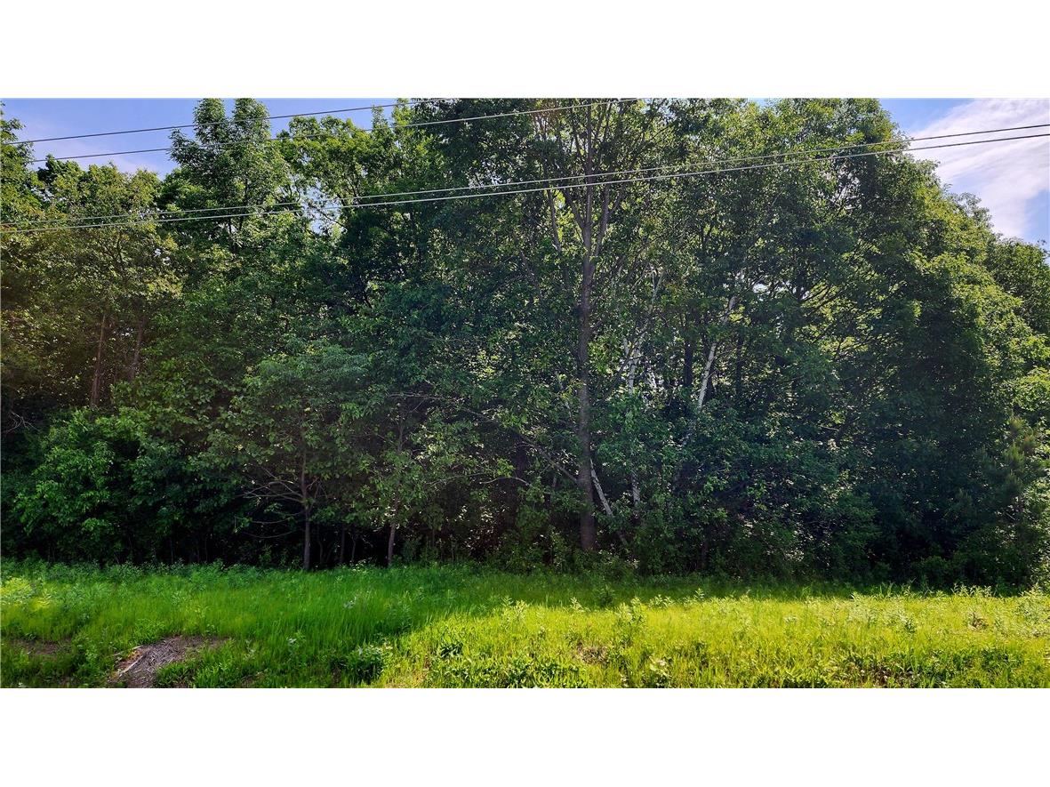 Vacant Lot 95th Street Clear Lake WI 54004 1592454 image1