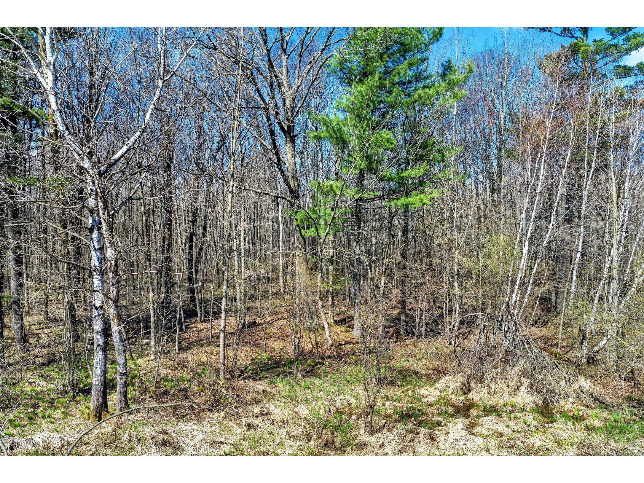 TBD 9th Street Barronett WI 54813 1598927 image8