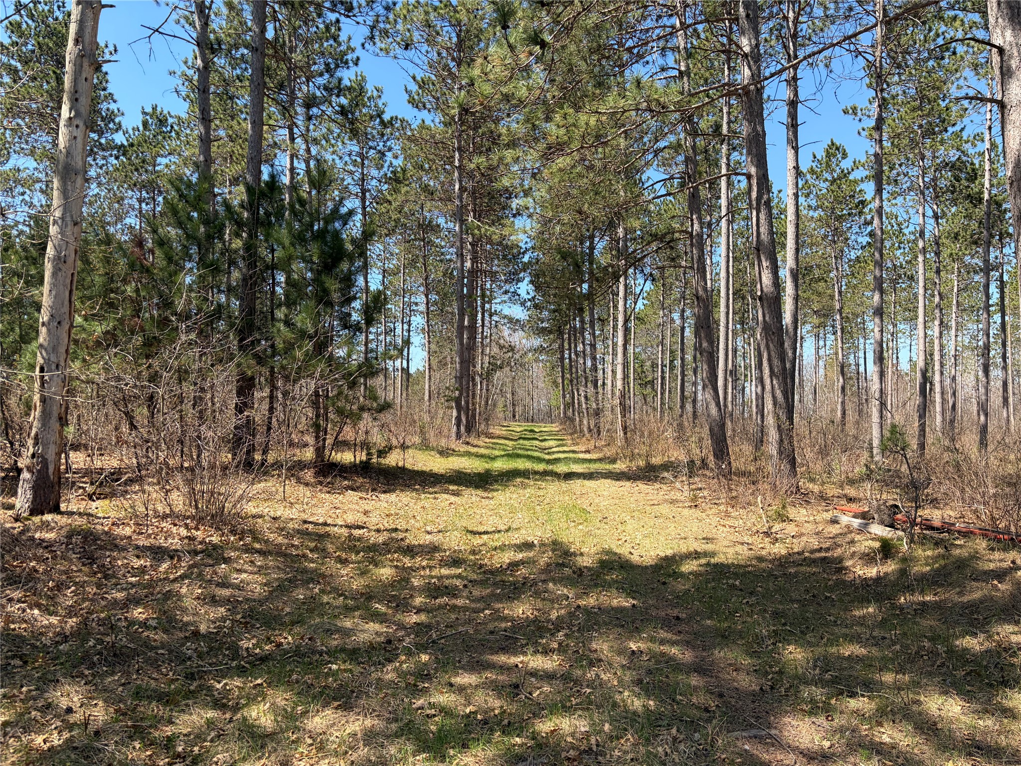 TBD AA Mann Road Spooner WI 54801 - Spooner Lake 1602850 image4