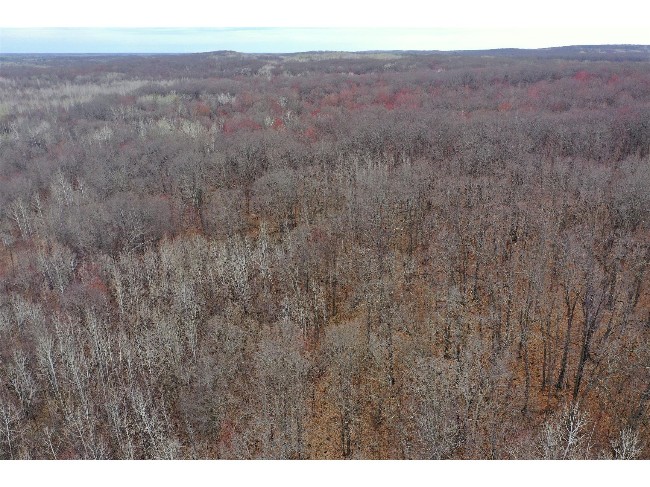 TBD Barrett Trail Trego WI 54888 1600463 image10