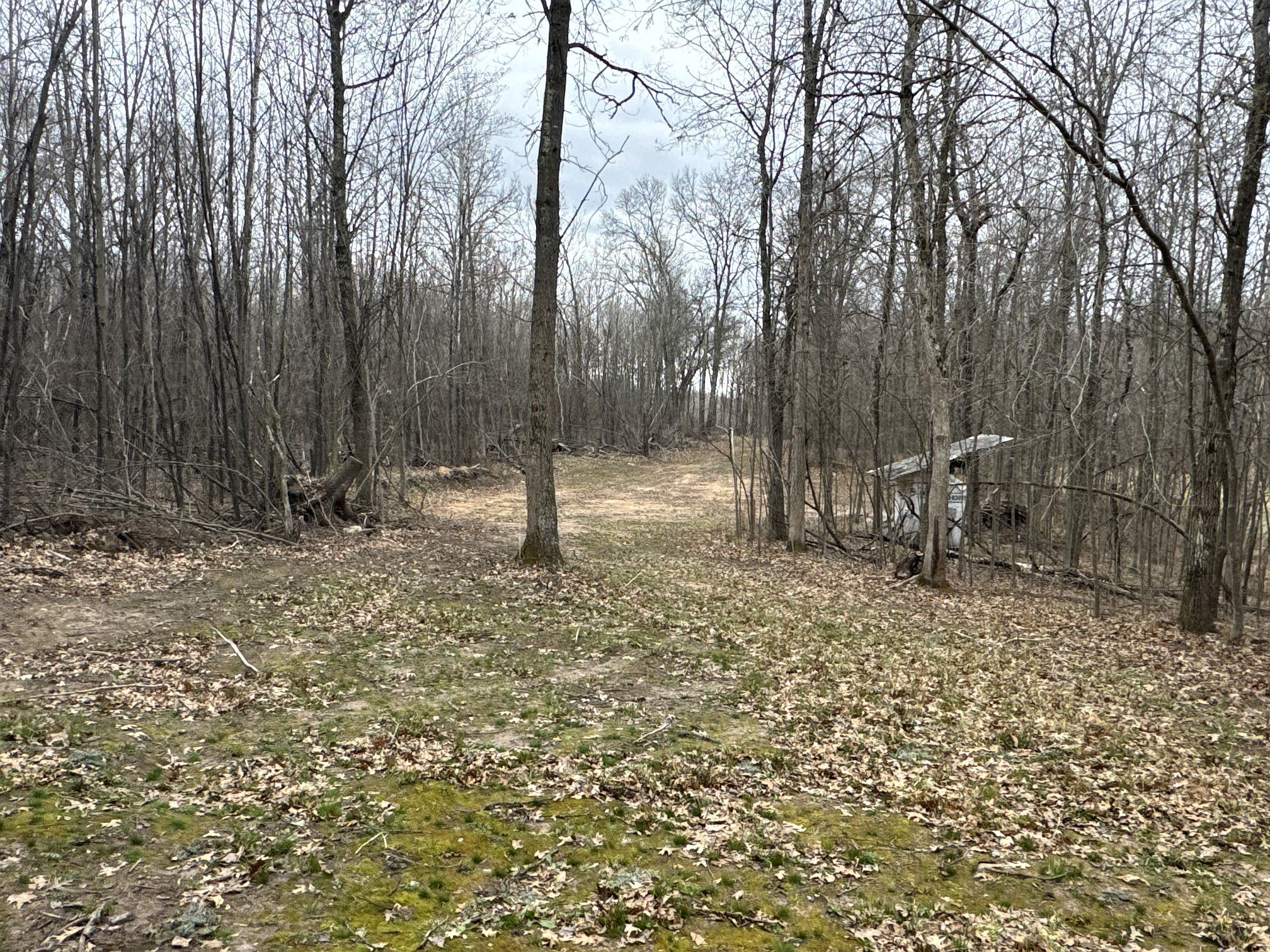 TBD Barrett Trail Trego WI 54888 1600463 image12