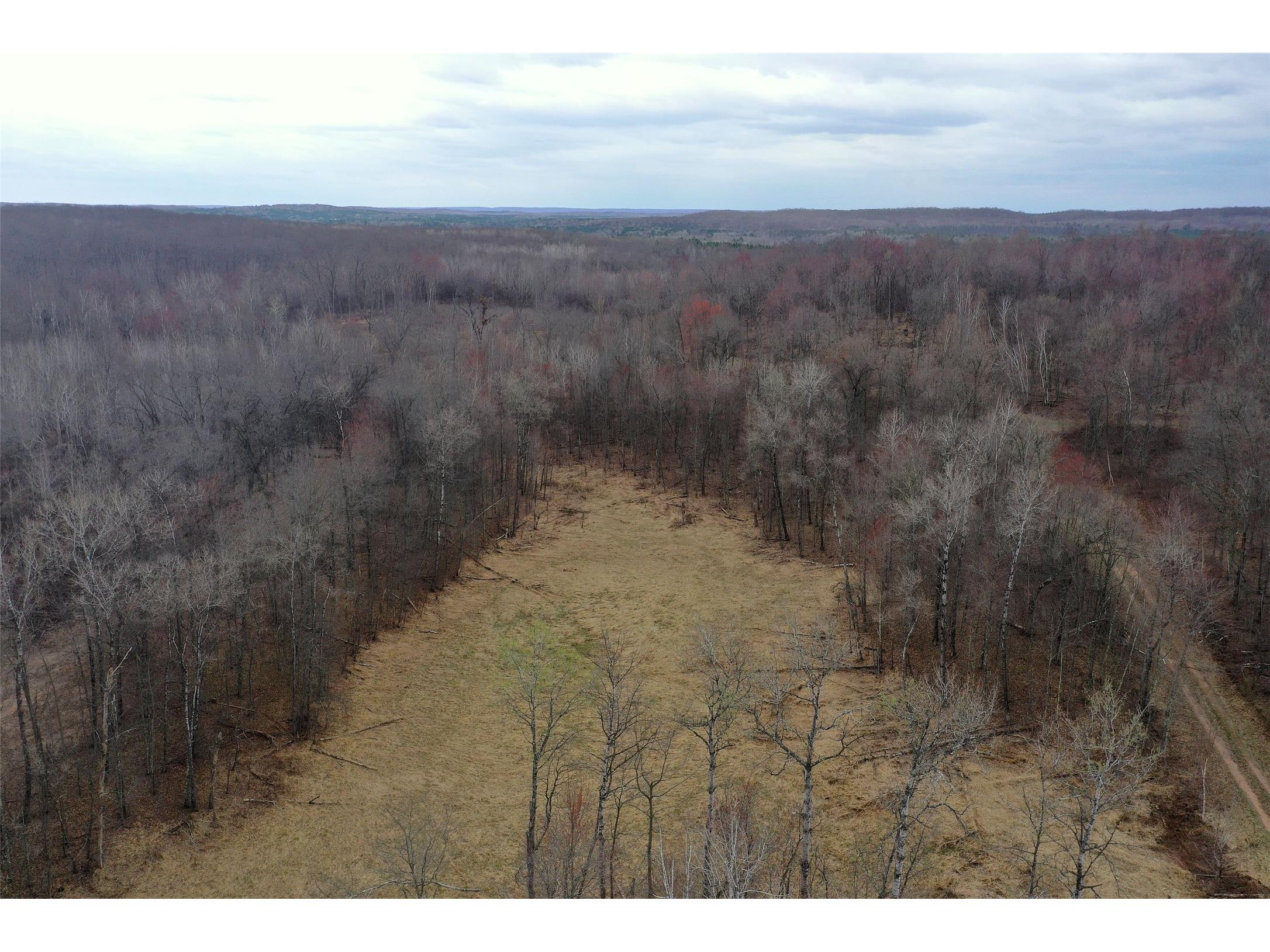 TBD Barrett Trail Trego WI 54888 1600463 image17