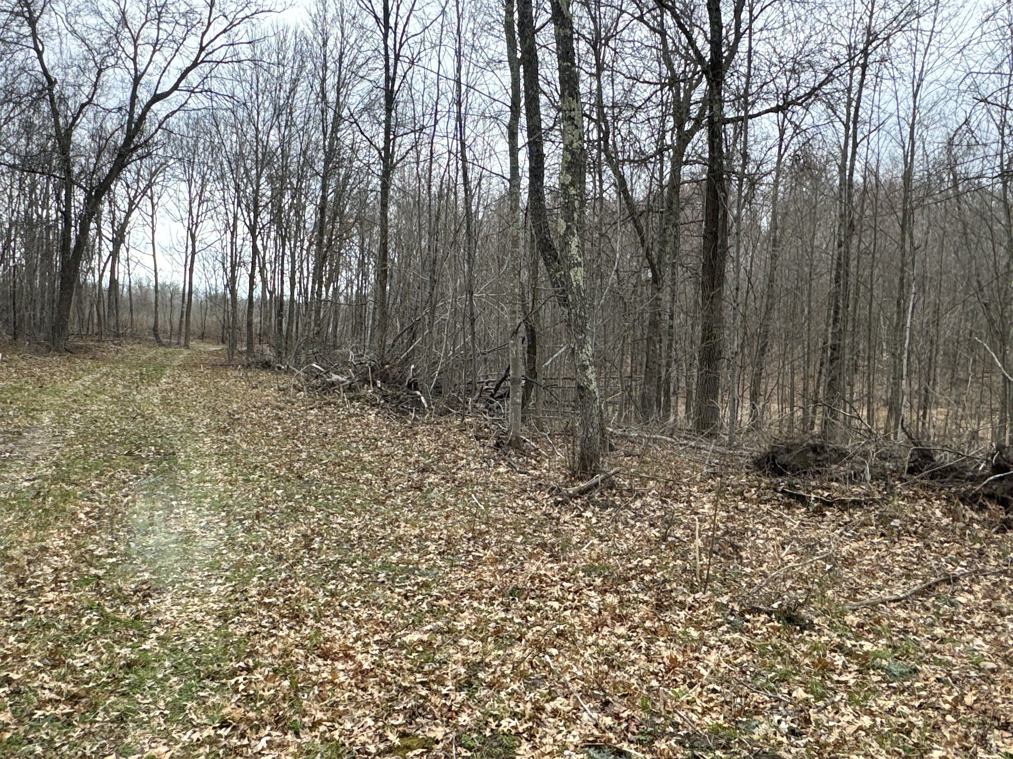 TBD Barrett Trail Trego WI 54888 1600463 image21