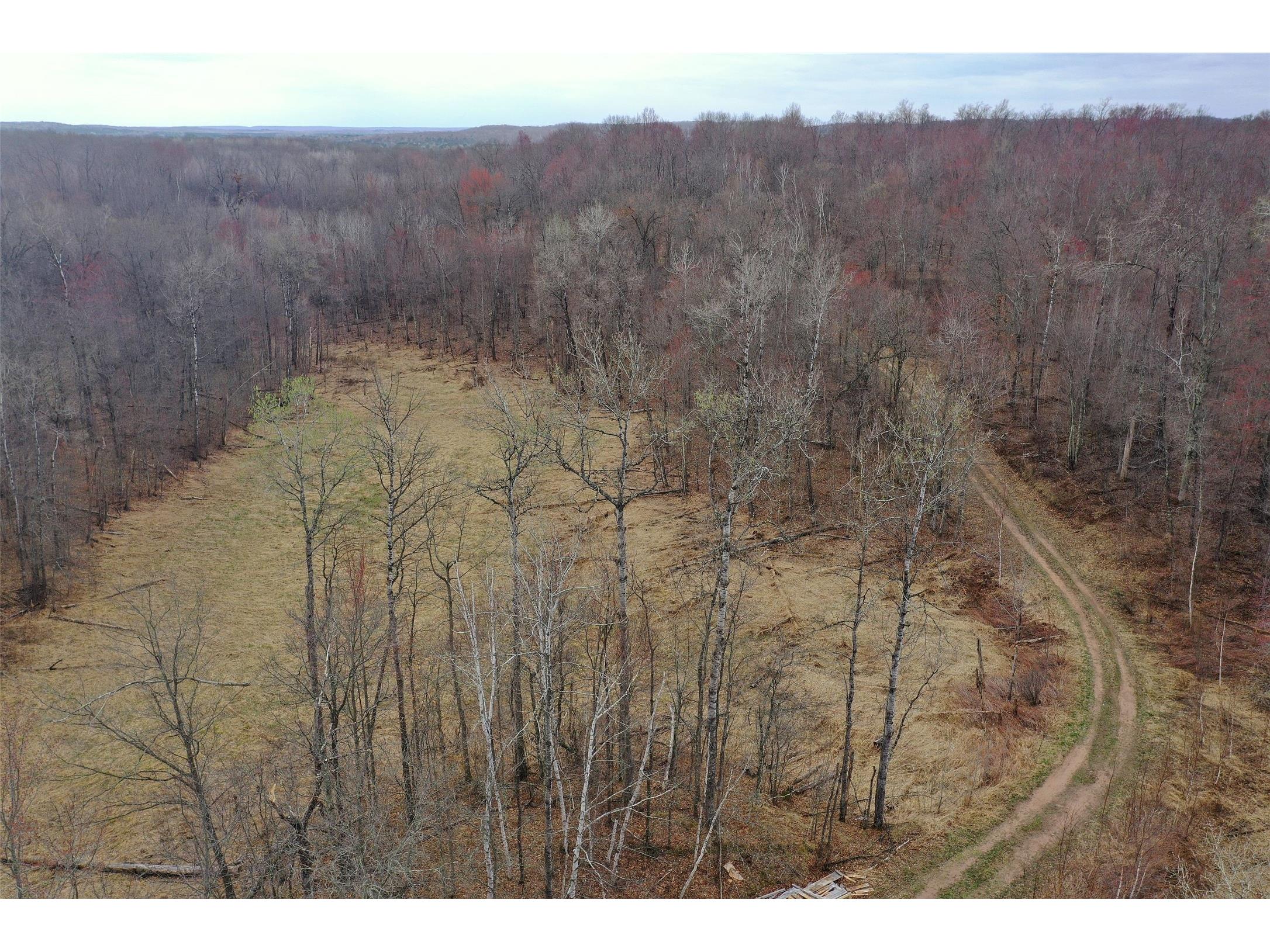 TBD Barrett Trail Trego WI 54888 1600463 image3
