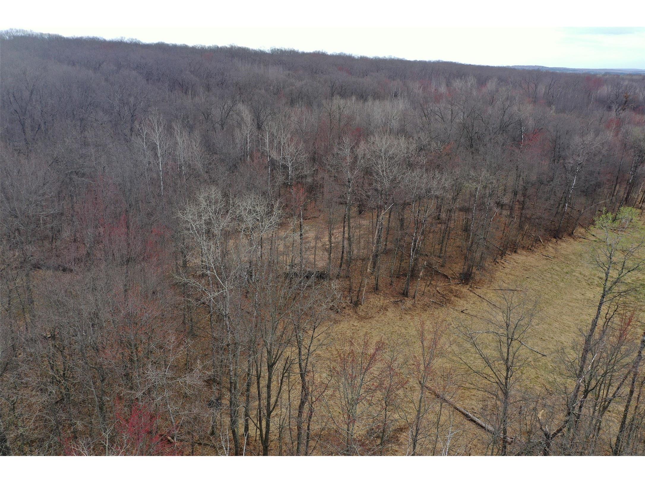 TBD Barrett Trail Trego WI 54888 1600463 image6