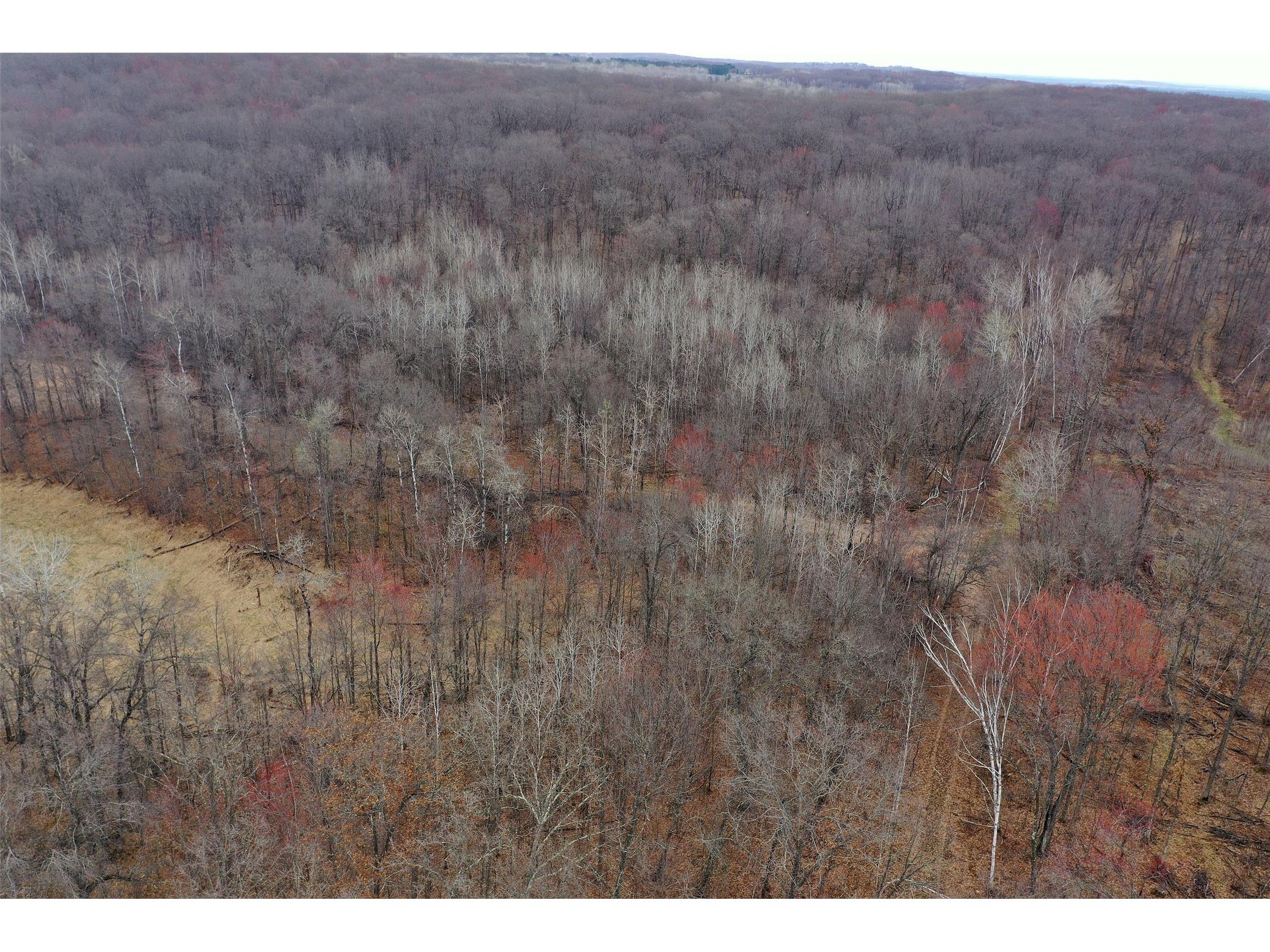 TBD Barrett Trail Trego WI 54888 1600463 image8