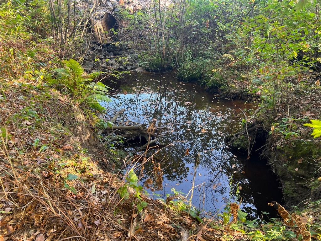 TBD Bruce Mound Avenue Merrillan WI 54754 - VISMAL 1596143 image11