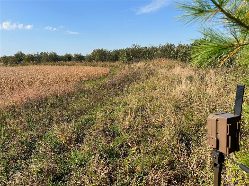 TBD Bruce Mound Avenue Merrillan WI 54754 - VISMAL 1596143 image13