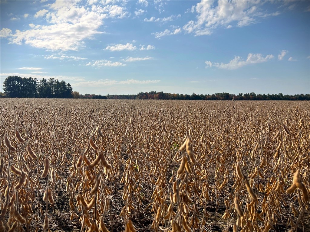 TBD Bruce Mound Avenue Merrillan WI 54754 - VISMAL 1596143 image14