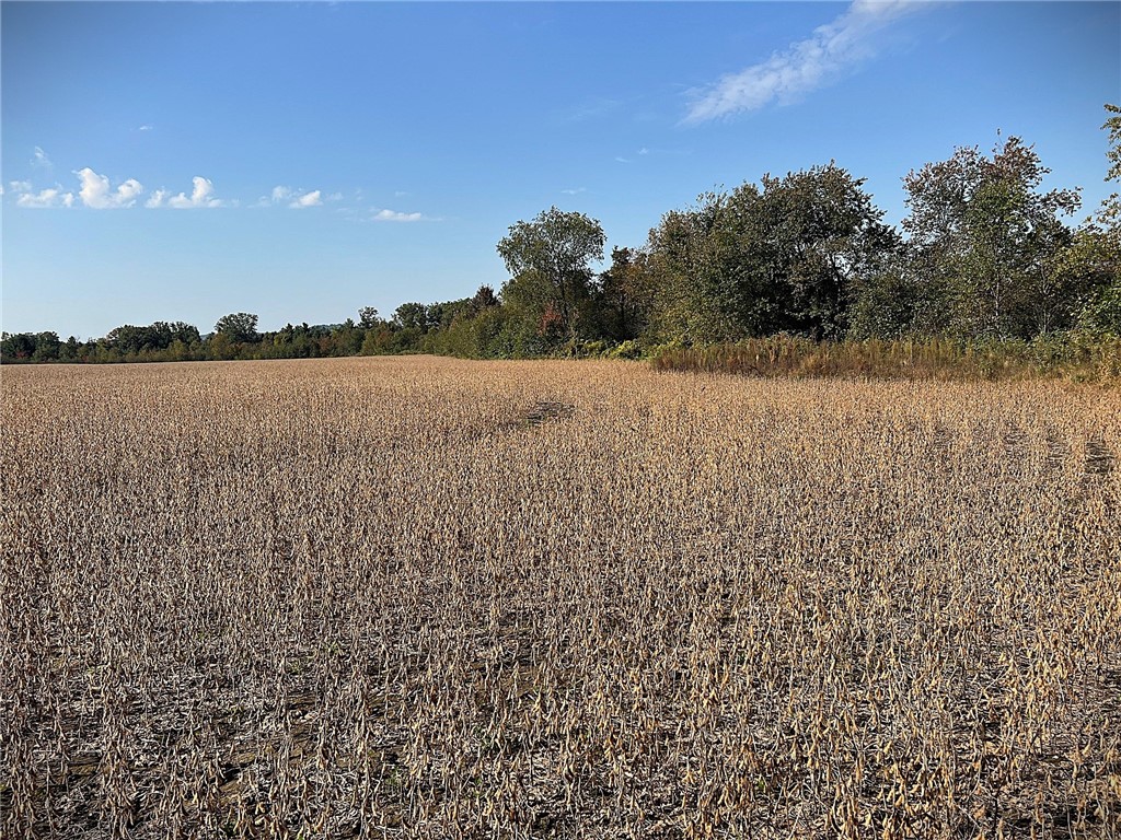 TBD Bruce Mound Avenue Merrillan WI 54754 - VISMAL 1596143 image16